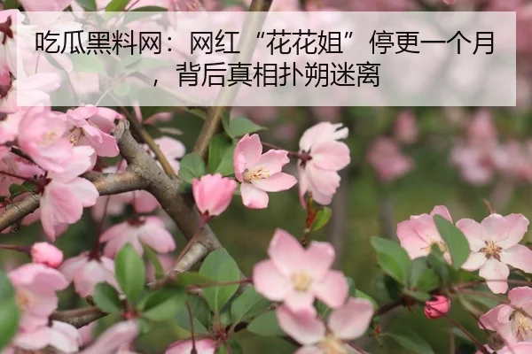 吃瓜黑料网：网红“花花姐”停更一个月，背后真相扑朔迷离